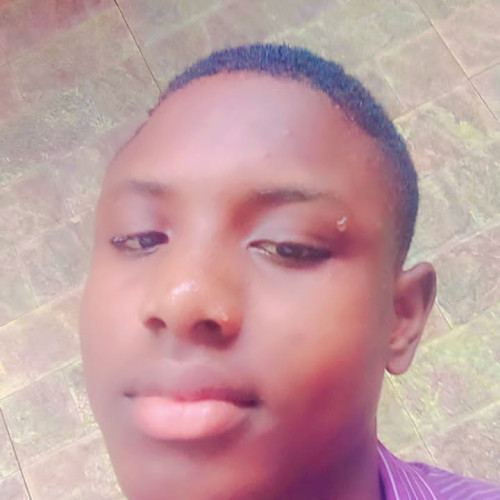 Godwin  D. profile photo
