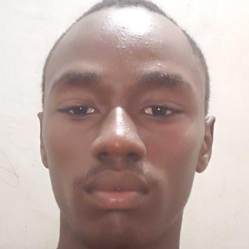 NOEL B. profile photo