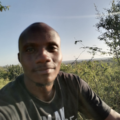 Dennis  M. profile photo