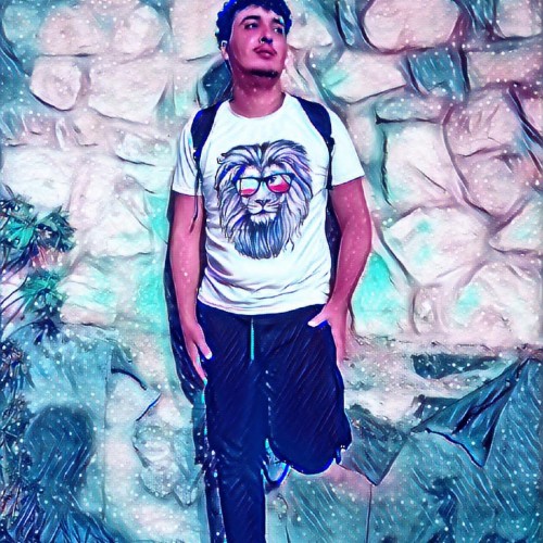 wassim b.