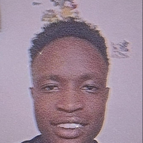 Owen  N. profile photo
