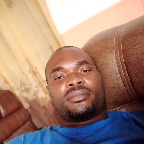 Daniel N. profile photo