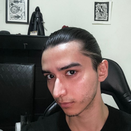 Luis enrique L. profile photo