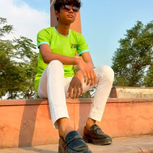 Amir  H.