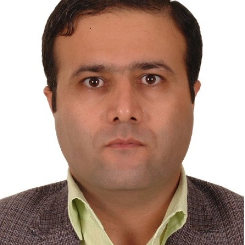 Mostafa R. profile photo