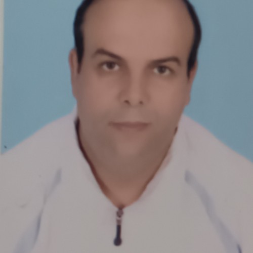 Ali T.