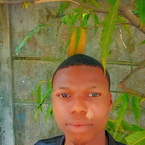 Victor E. profile photo