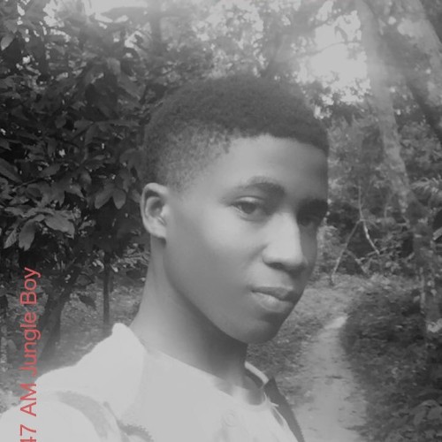 Jungle  B.
