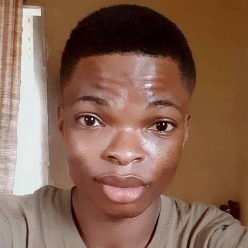 Ogunajo  O. profile photo