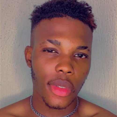 Daniel N. profile photo