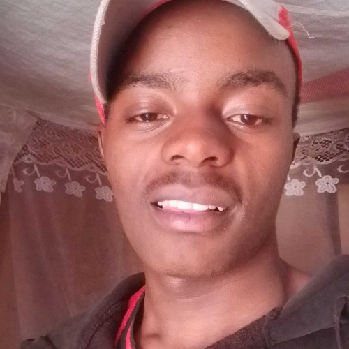 Simon M. profile photo