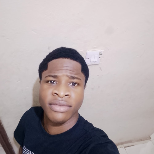 Daniel  N. profile photo