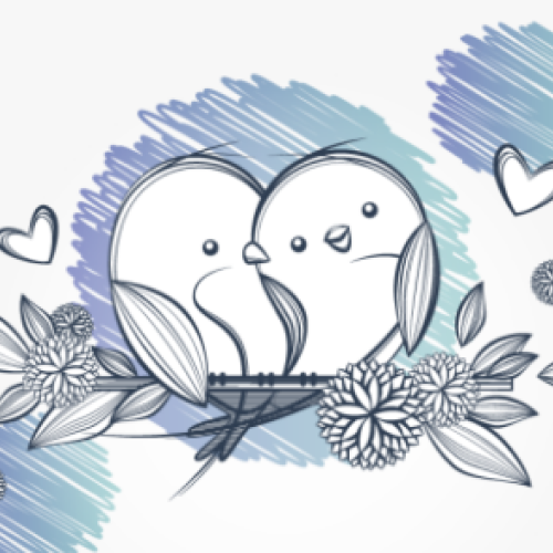 Aisha K. profile photo