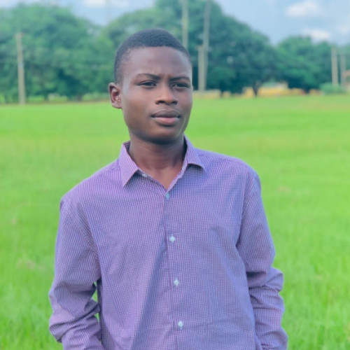 Adeniyi  D.