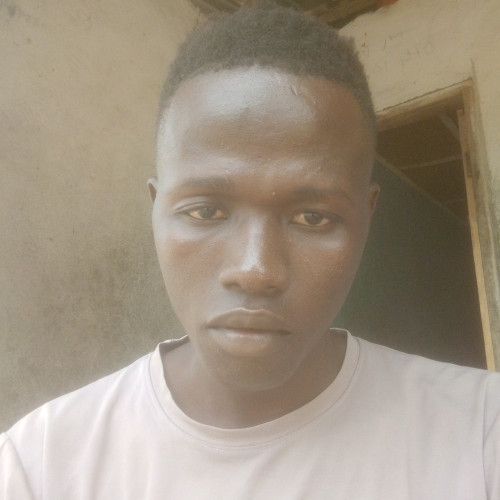 Musa M. profile photo