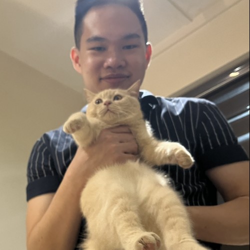 Jing Le C. profile photo