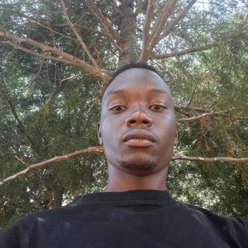 Vincent k. profile photo