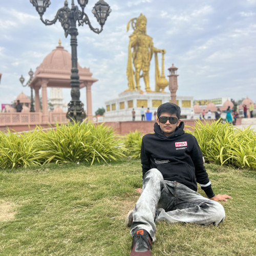 Hardik T.