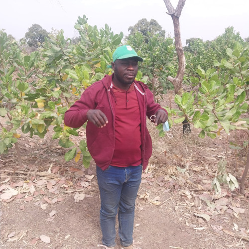 AMIDU  B. profile photo
