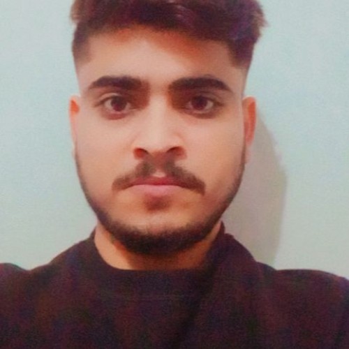 Ankit S.