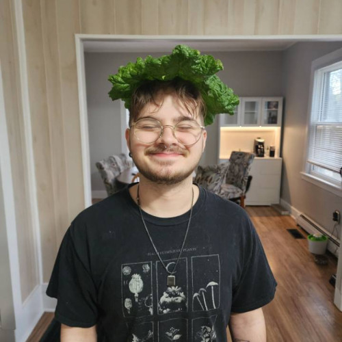 Alexander L. profile photo