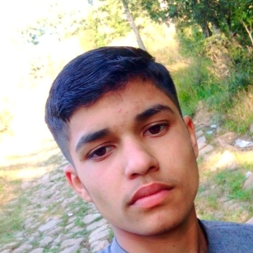 Hamid M. profile photo