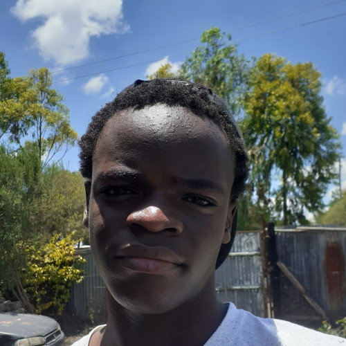 Peter  M. profile photo