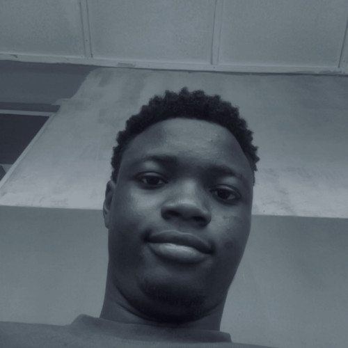 Daniel D. profile photo