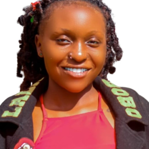 Vivian N. profile photo