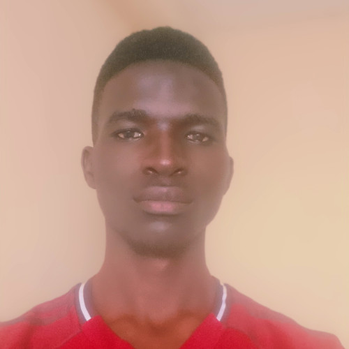 Lavine  N. profile photo
