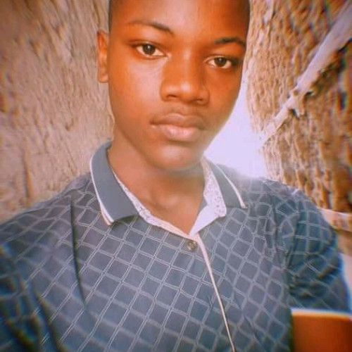 Adelino  A. profile photo
