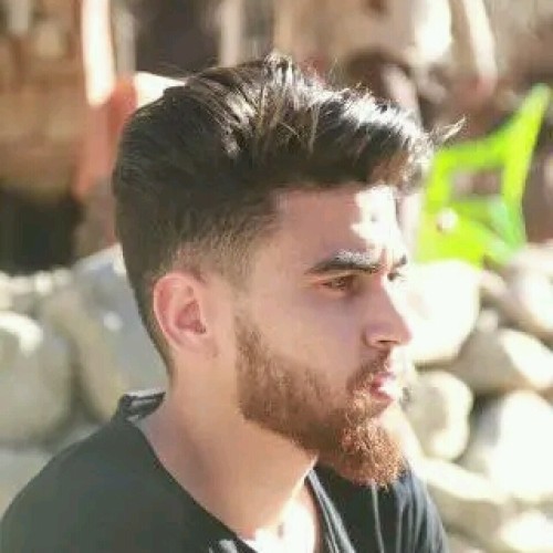 Nassim O. profile photo