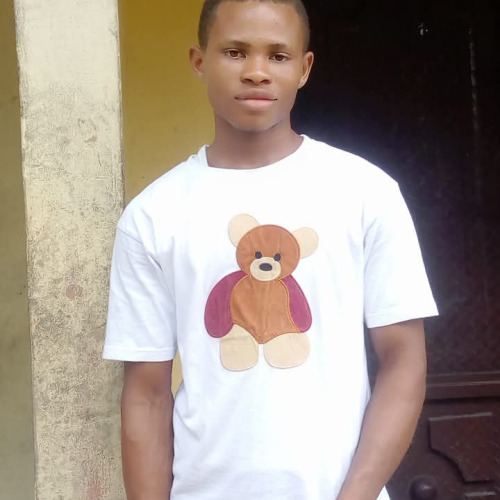 Njoku  P. profile photo