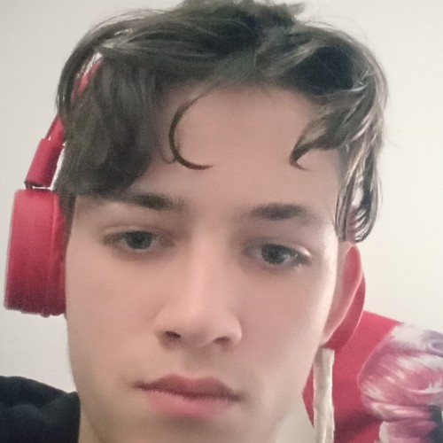 Vladeslav  B. profile photo