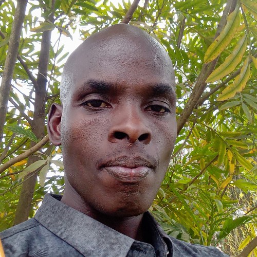 Moses K. profile photo