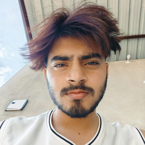 Piyush K. profile photo