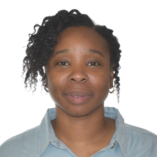 TOY H. profile photo