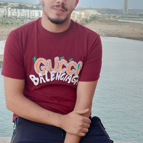 EL HOUSSAIN  A. profile photo