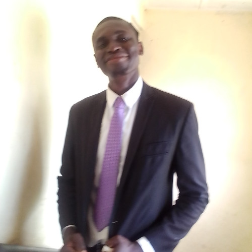 Okechukwu  O. profile photo