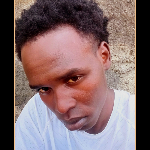 David N. profile photo