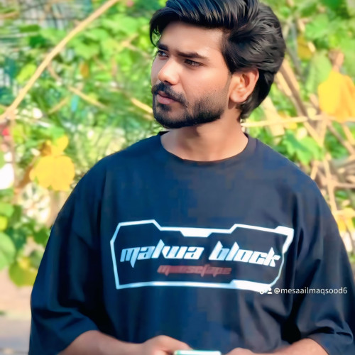 Mesaail M. profile photo