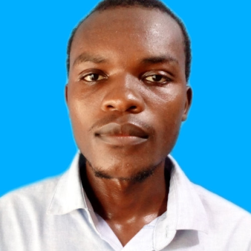 Bernad  S. profile photo