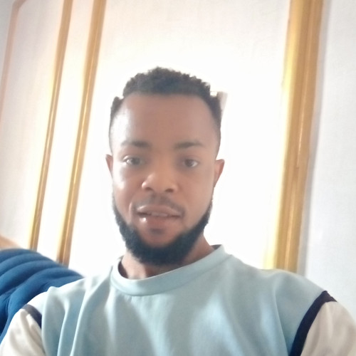 Ovorevigho  P. profile photo