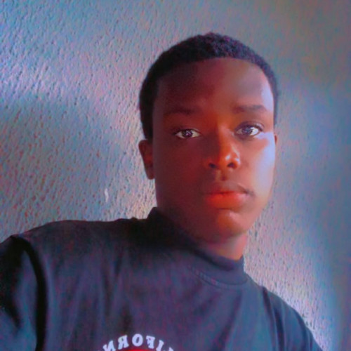 Kingsley  E. profile photo