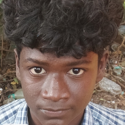 Karthi K. profile photo