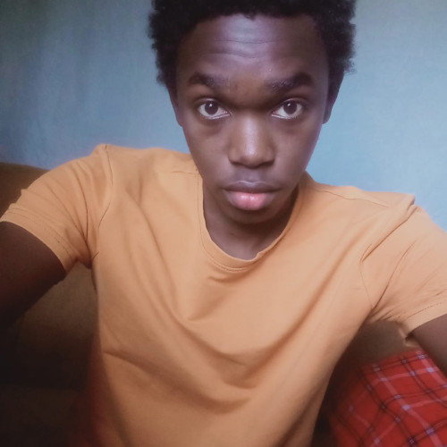 Vincent N. profile photo