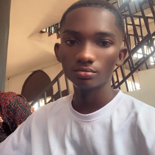 Tobechukwu B. profile photo