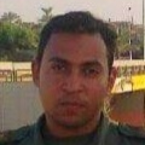 Theo p. profile photo