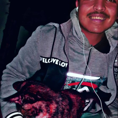 amine e. profile photo