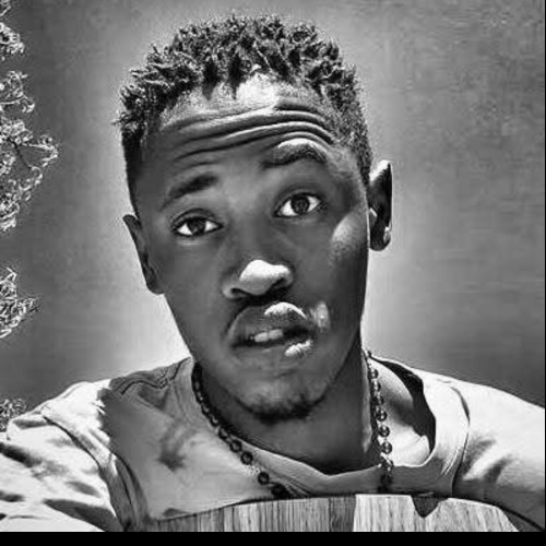 Dash  M. profile photo
